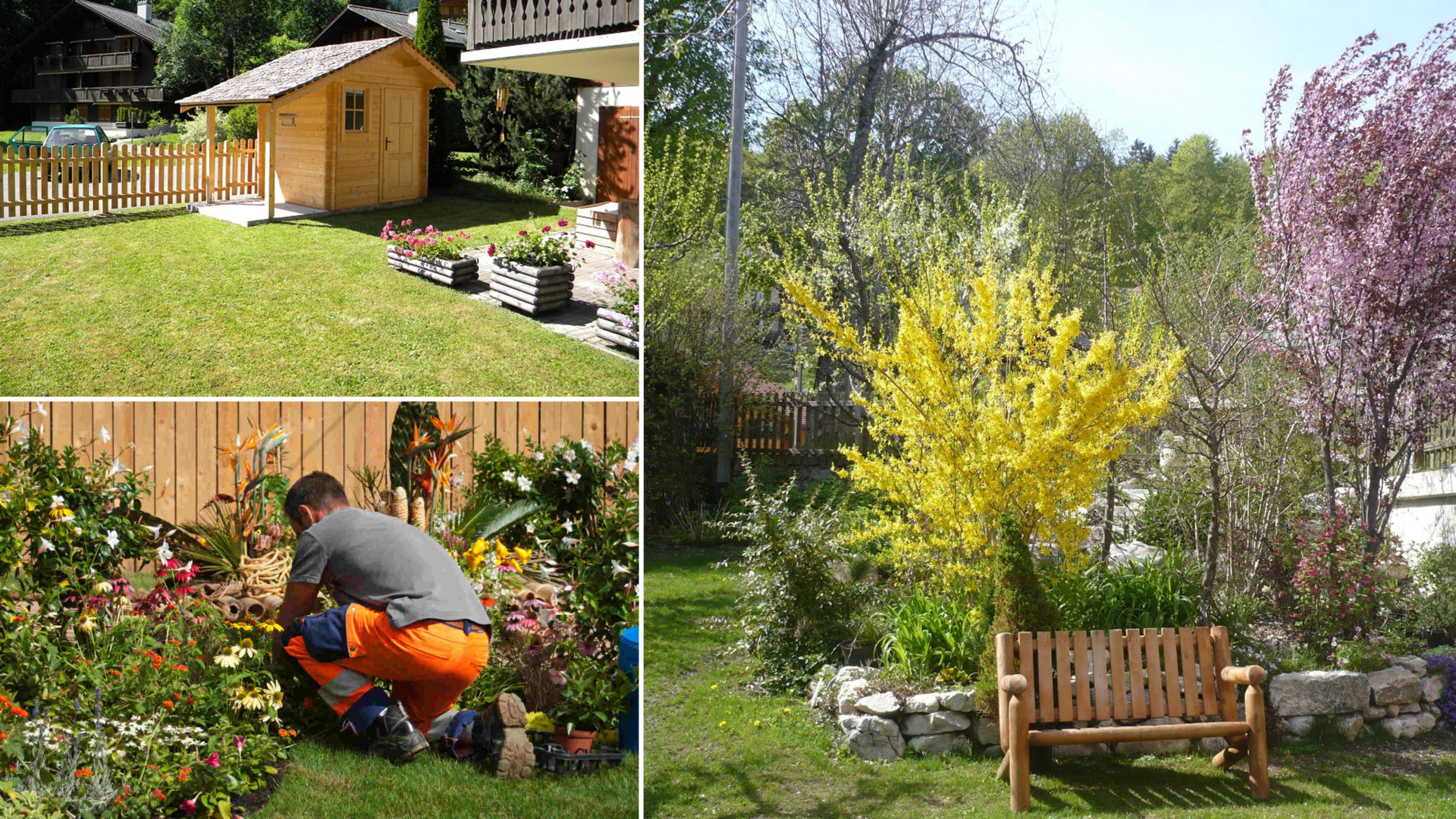 Entretien de jardin